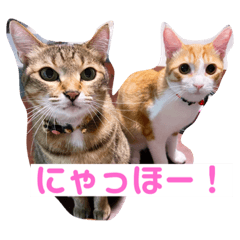 Ringo_20211229231301