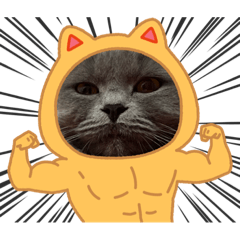 Ryuki_20211229201423