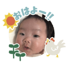 このちゃんえぶりでい