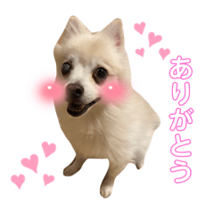 yun_20211230084533