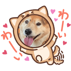 yayoi_20211230124740