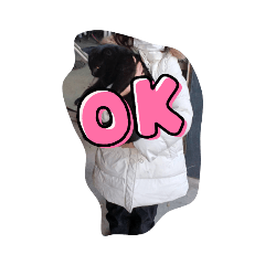 ANN_20211230134216
