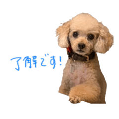 saya_20211230134014