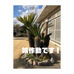 saya_20211230142048