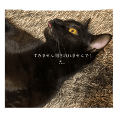 AWSD_20211230125609