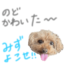 yuimoe
