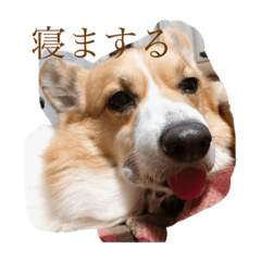 ayumi_20211230143632