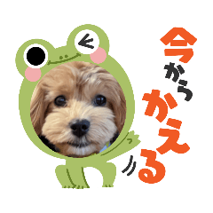 KINACO_20211230161141