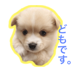 pelchan stamp
