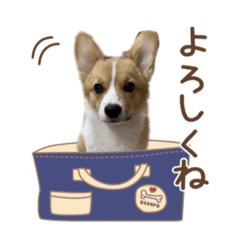 orange_20211230174628