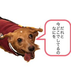 Takuya_20211230190247