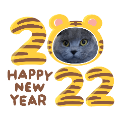 HAPPY New Year from Hana