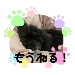 miki_20211230205136