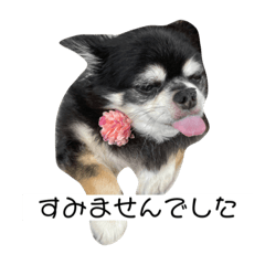 shuu_20211230210508
