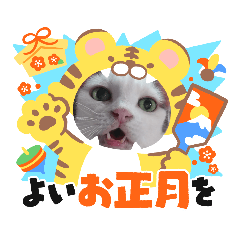 Saori_20211230234453