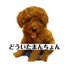kaori_20211230182310