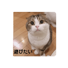 daichi_20211230191803