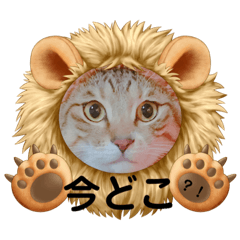 kinaco_20211230193127