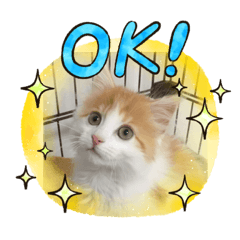 taki_taki