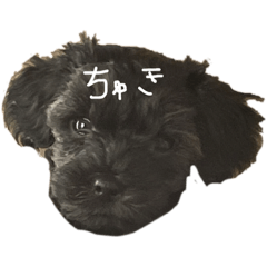 fu_20211230225626 – LINE stickers | LINE STORE