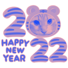 mitsuki_20211230231230