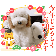 Kaori_20211231111604