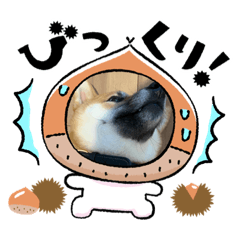 toranosuke_nikki