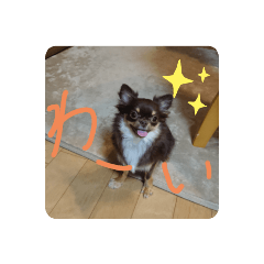 sharon_20211231112836