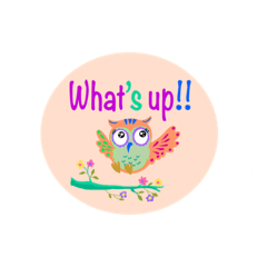 Daily used words with owls