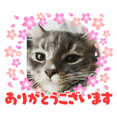 RISA_20211231120920
