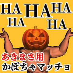 Akimasa Pumpkin macho