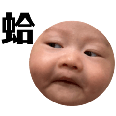 苦瓜肉桂將軍