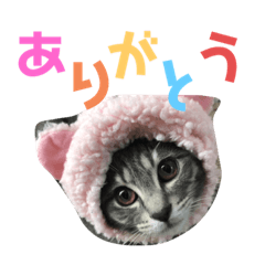 RINA_20211231135545