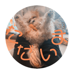 ayumi_20211231140206