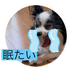 aoi_20211231124438
