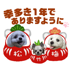 emi_2021 Happy  new year.