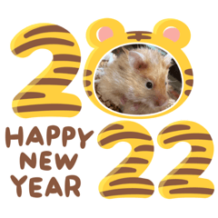 pika_20211231124057