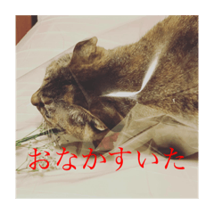 AWSD_20211231144333