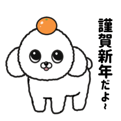 Cute White Toy Poodle -Happy New Year-