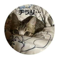 yuto_20211231171607