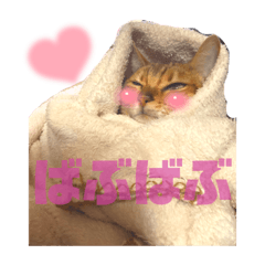 TYPE-E_20211231143651