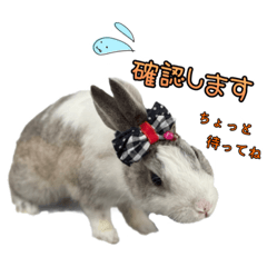 marinrabbit_20211231212309