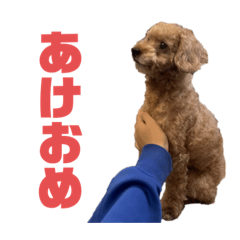 chihiro_20211231213629