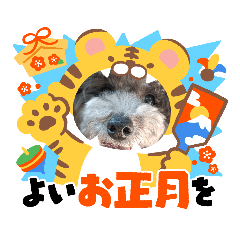 nanamin_20211231212834