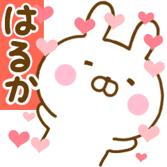 Rabbit Usahina love haruka