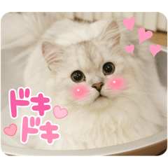 yuuko_20211231222728
