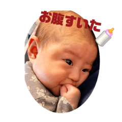 miki_20211231223622