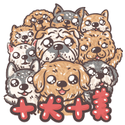 The Year of the Dog !