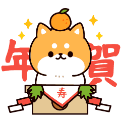 Answer Shiba Do(New Year ver.)