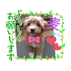 miki_20211231194121
